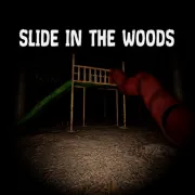 Slide in the Woods